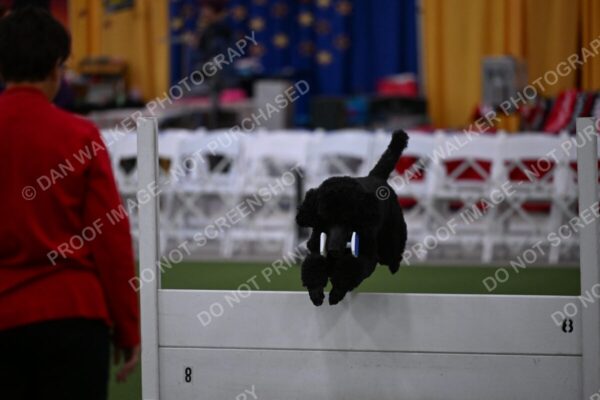 DJW_1153