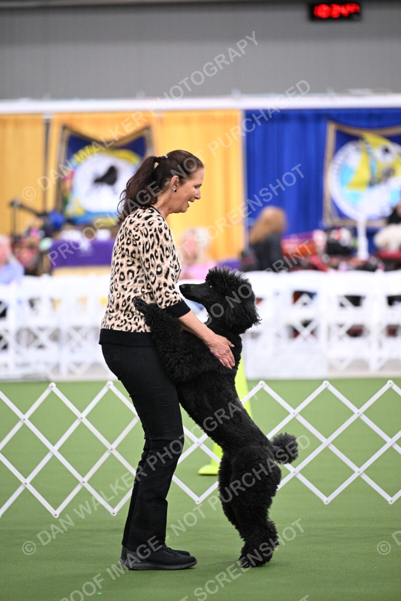 DJW_1748