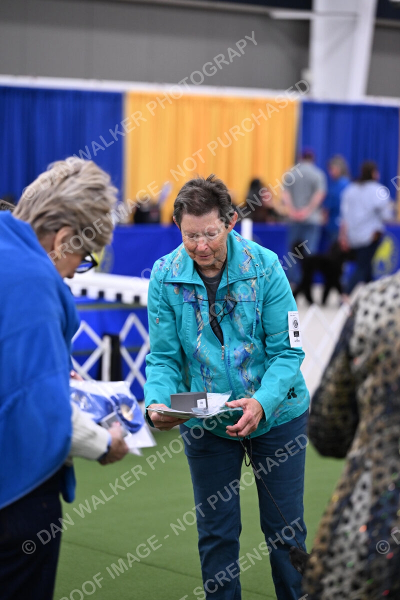 DJW_2616