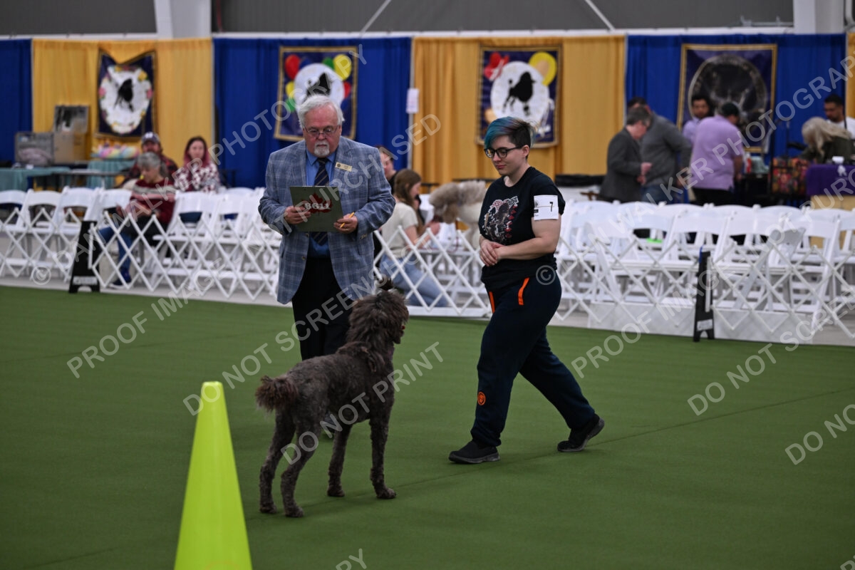DJW_1206