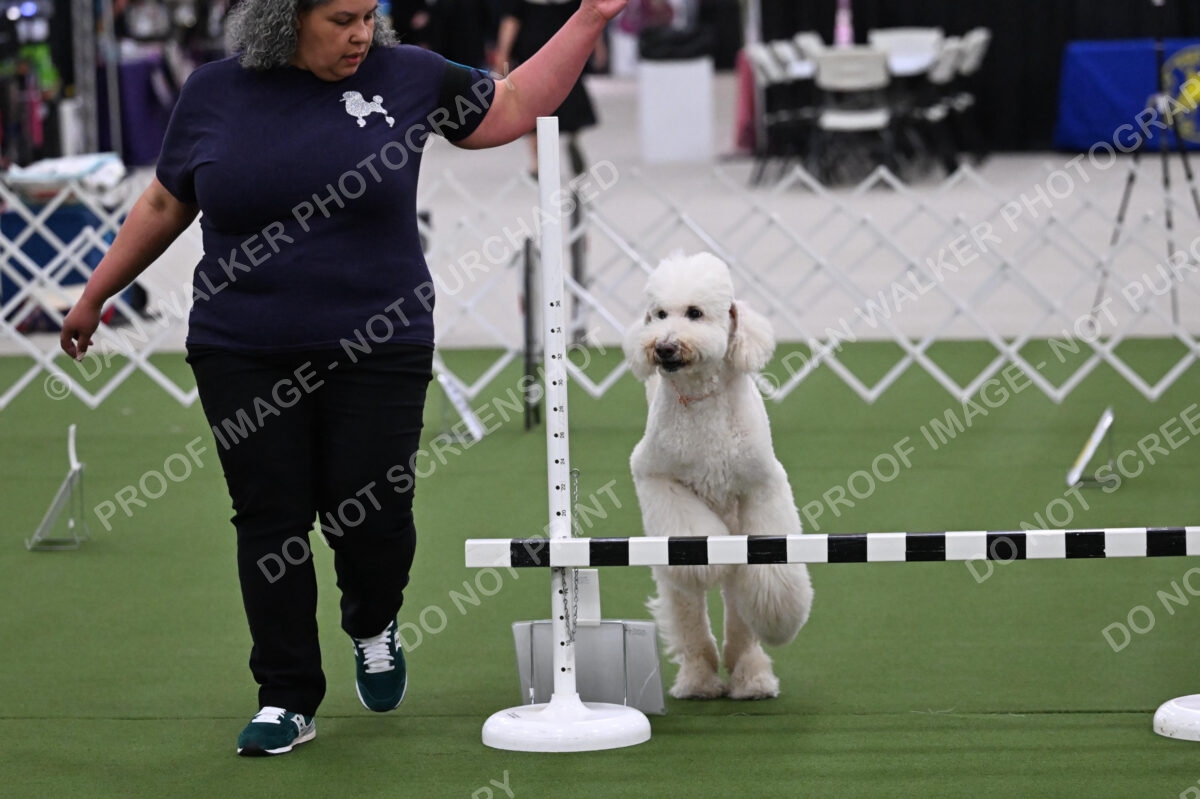 DJW_0579