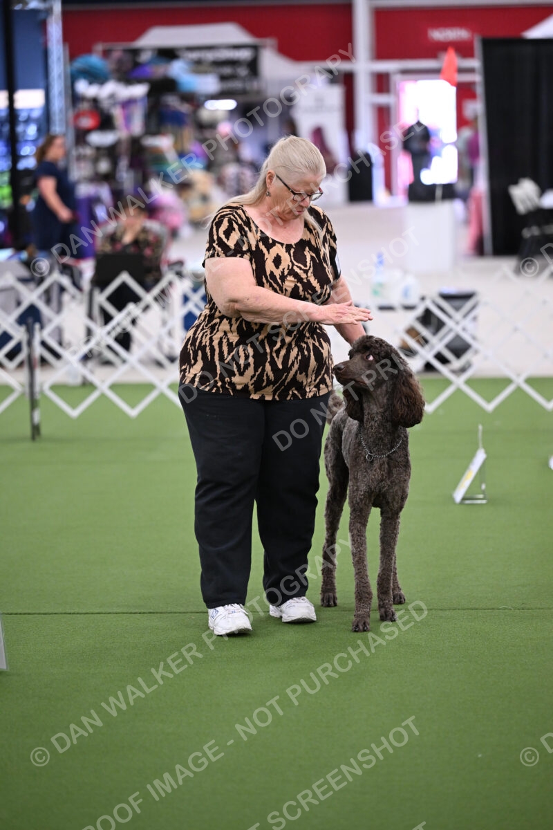 DJW_0736