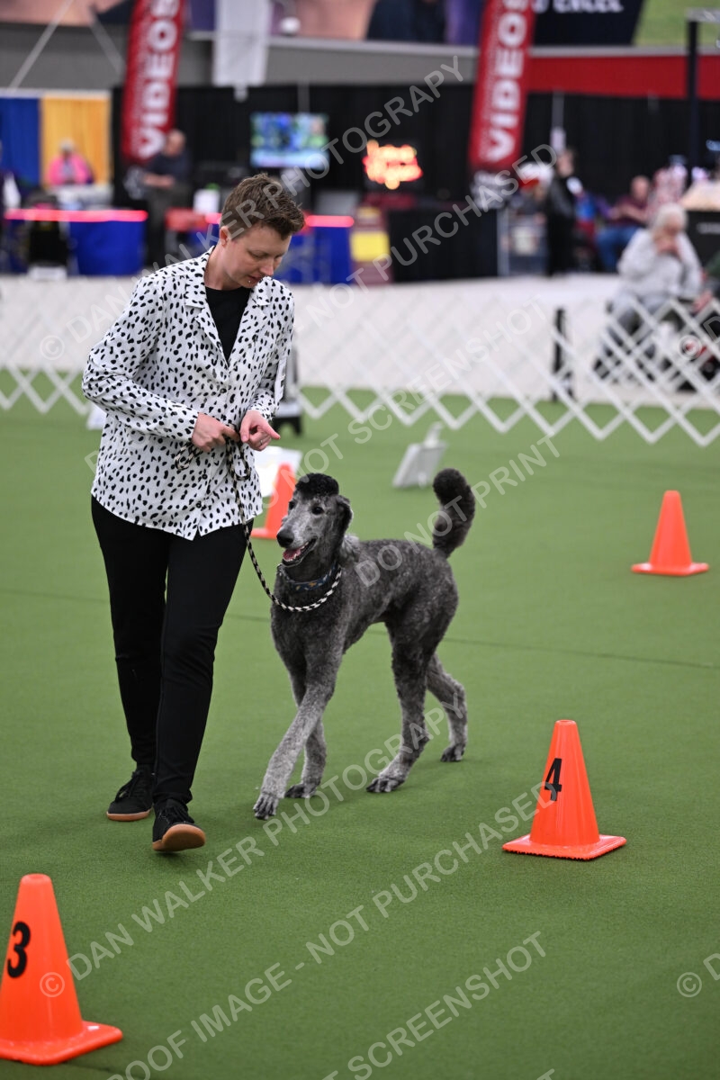 DJW_2657