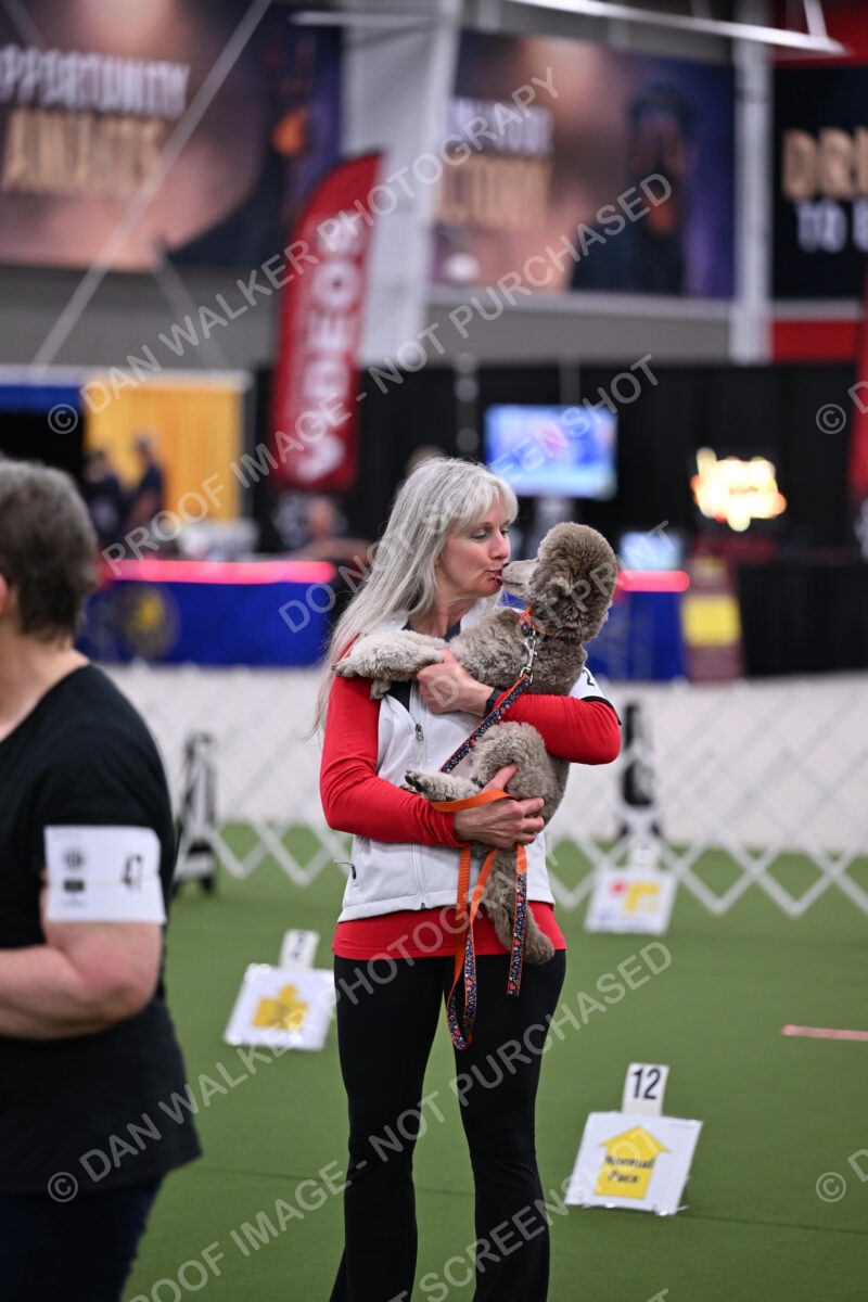 DJW_2917