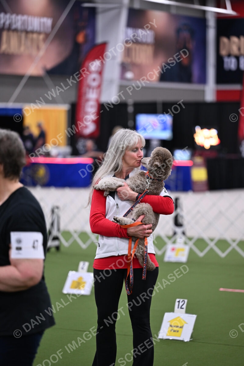 DJW_2918