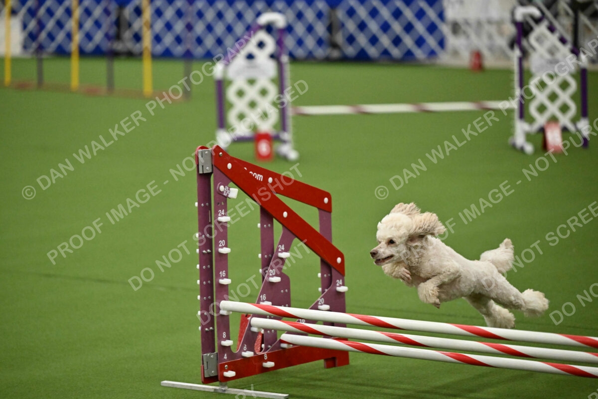 MAS-EX-JWW-12-Inch_1701