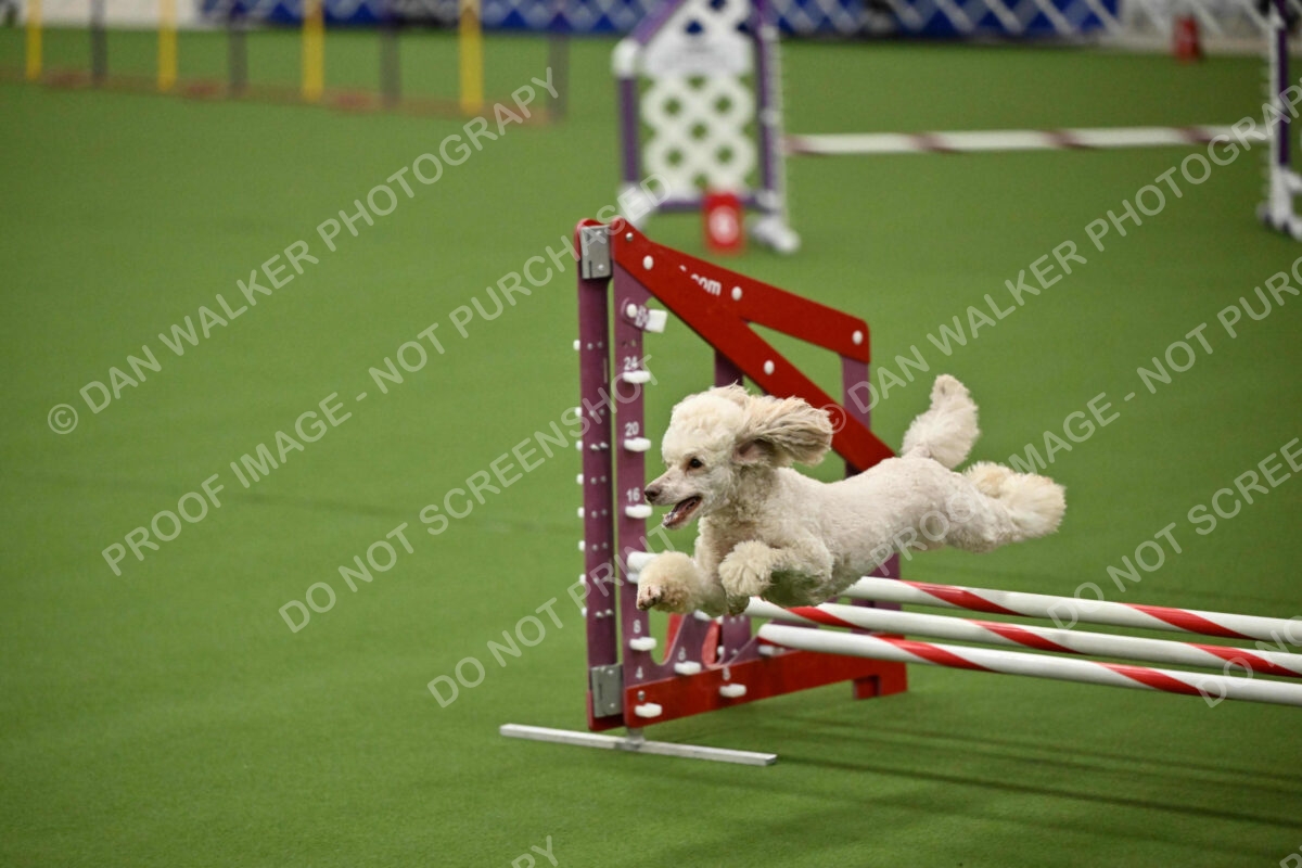 MAS-EX-JWW-12-Inch_1703