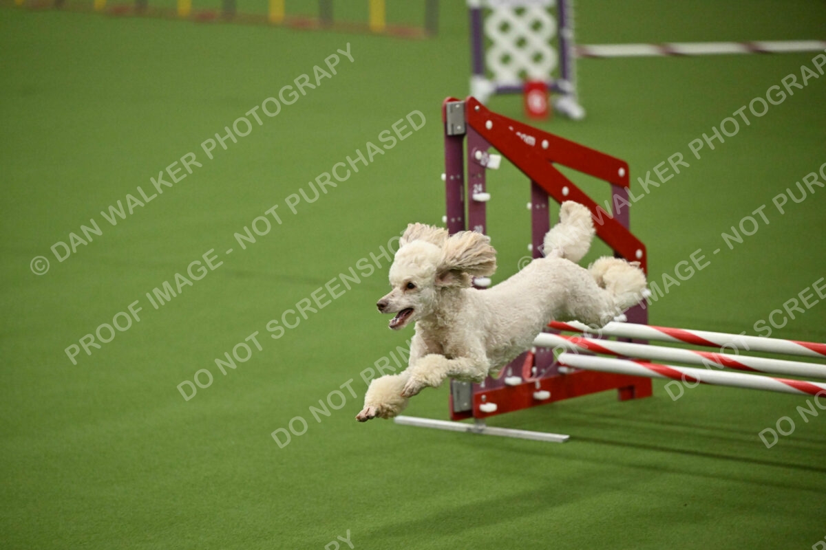 MAS-EX-JWW-12-Inch_1704