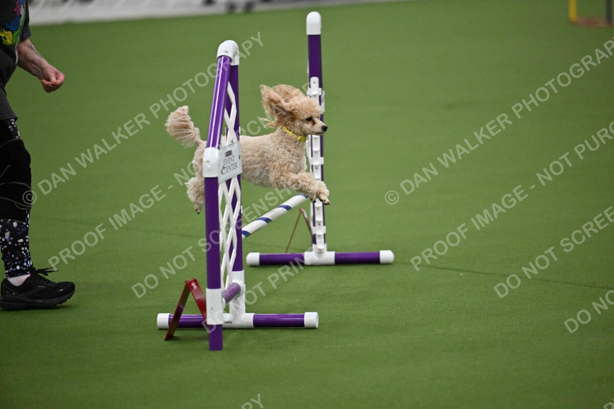 MAS-EX-JWW-12-Inch_1706