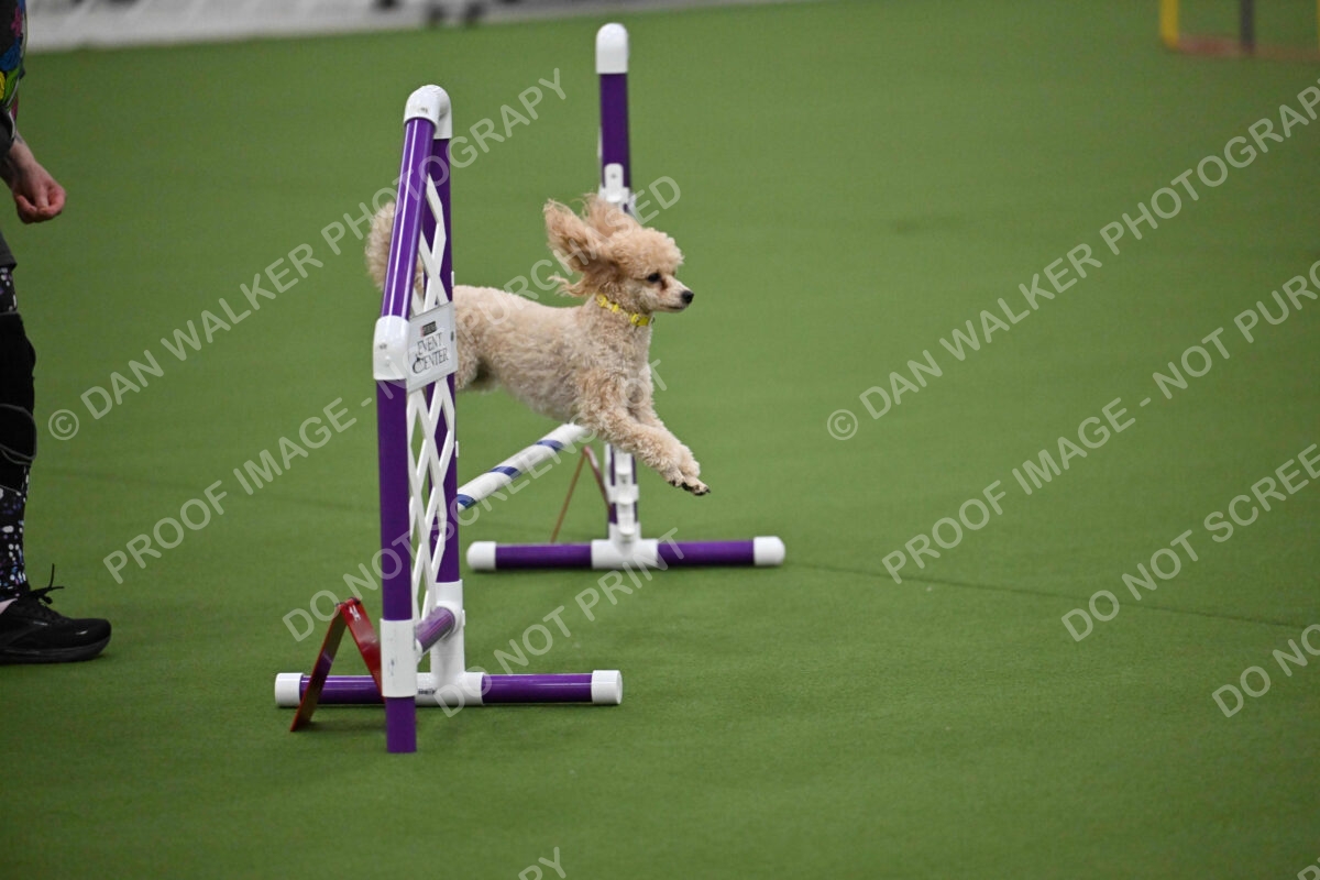 MAS-EX-JWW-12-Inch_1707