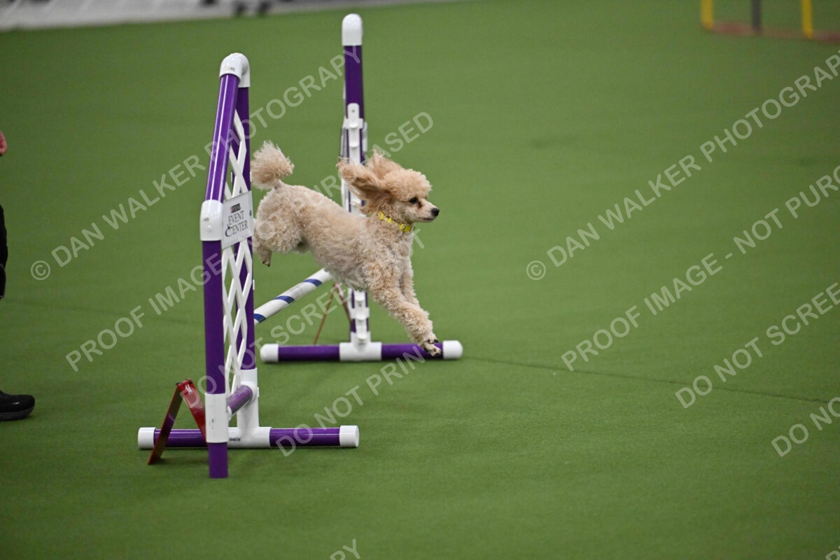 MAS-EX-JWW-12-Inch_1708