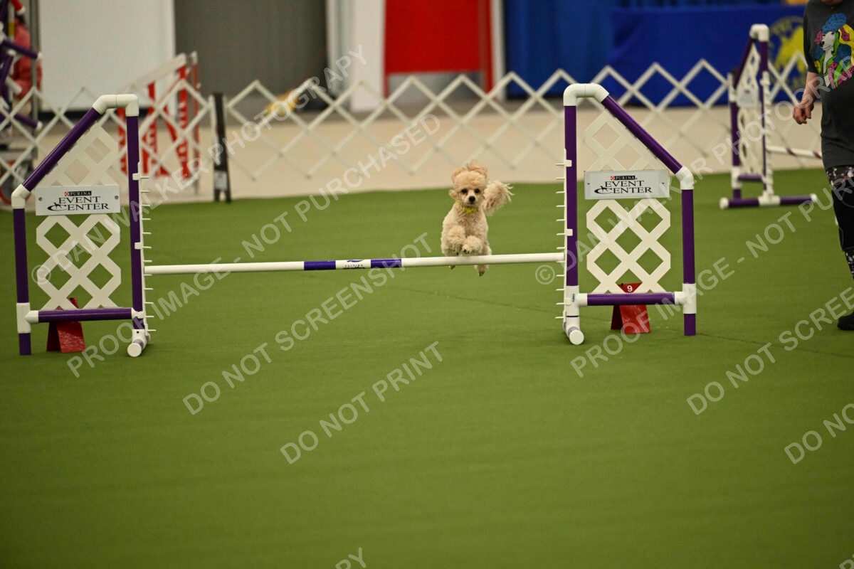 MAS-EX-JWW-12-Inch_1715