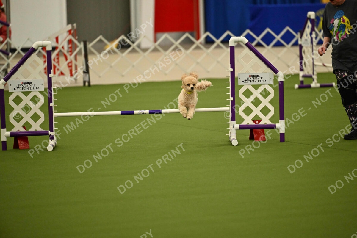 MAS-EX-JWW-12-Inch_1716