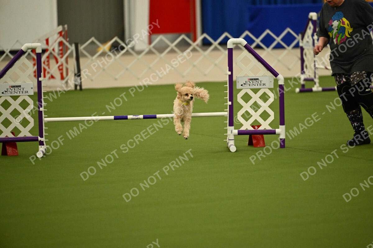 MAS-EX-JWW-12-Inch_1717