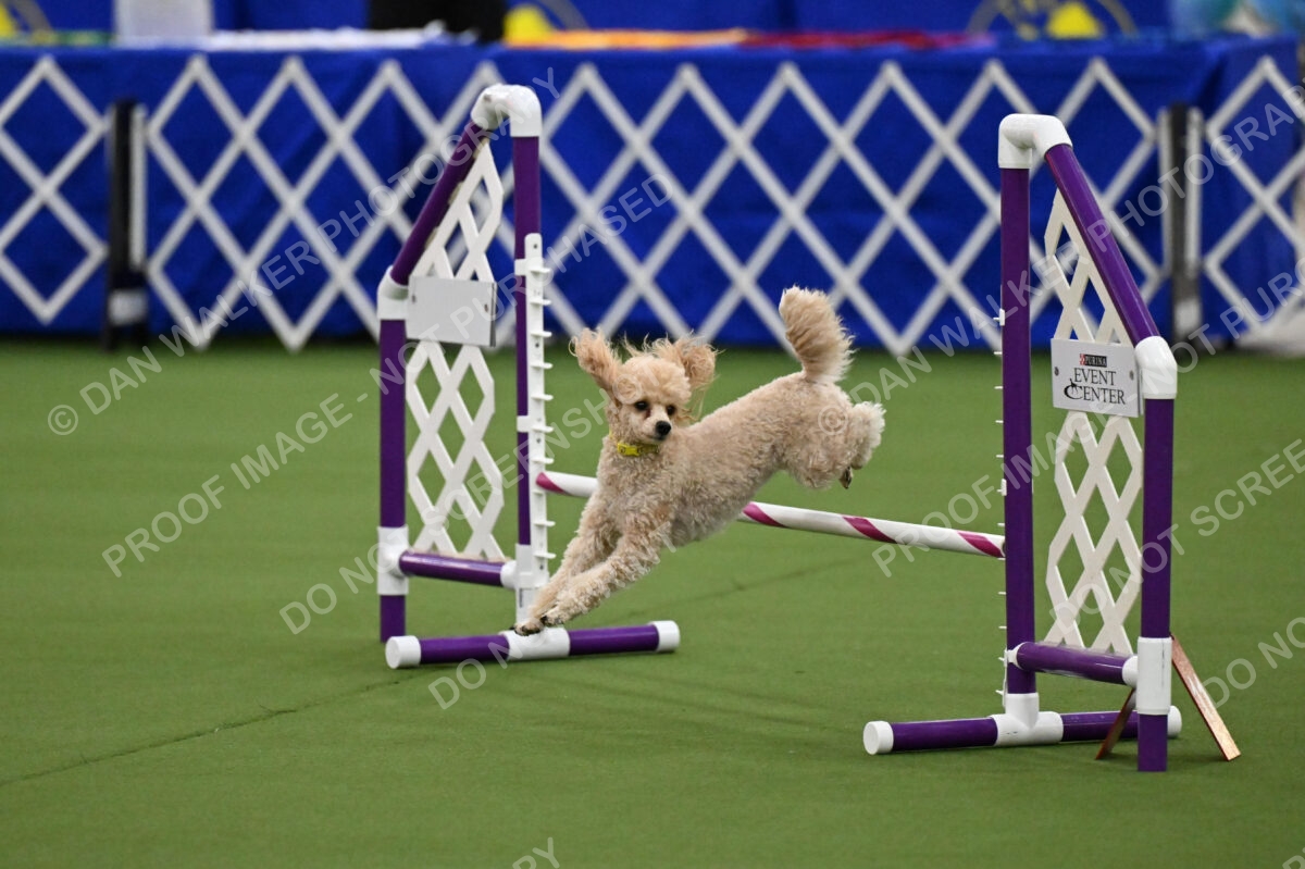 MAS-EX-JWW-12-Inch_1722