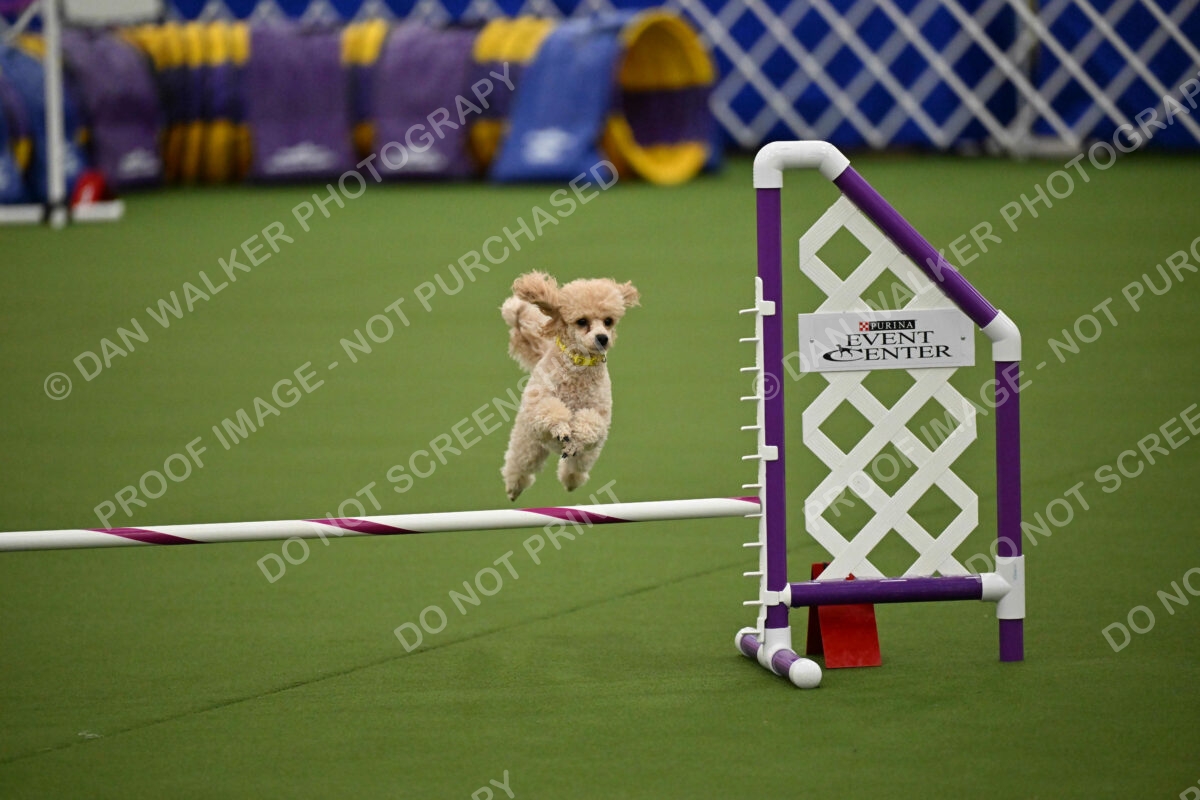 MAS-EX-JWW-12-Inch_1728