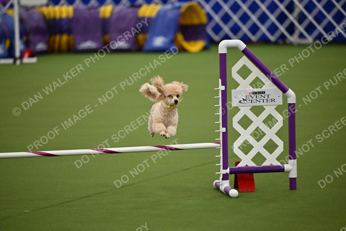 MAS-EX-JWW-12-Inch_1729