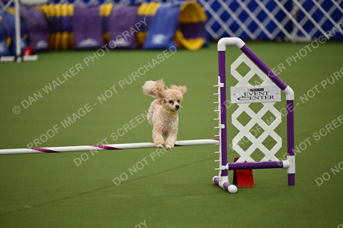 MAS-EX-JWW-12-Inch_1730