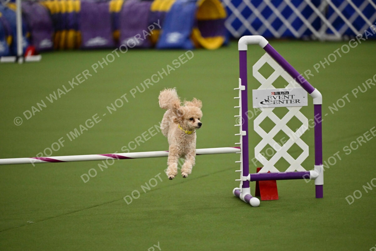 MAS-EX-JWW-12-Inch_1731