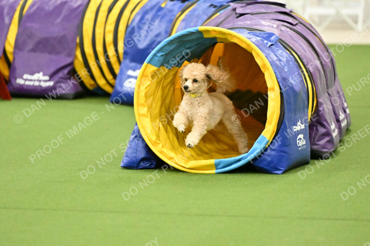 MAS-EX-JWW-12-Inch_1746