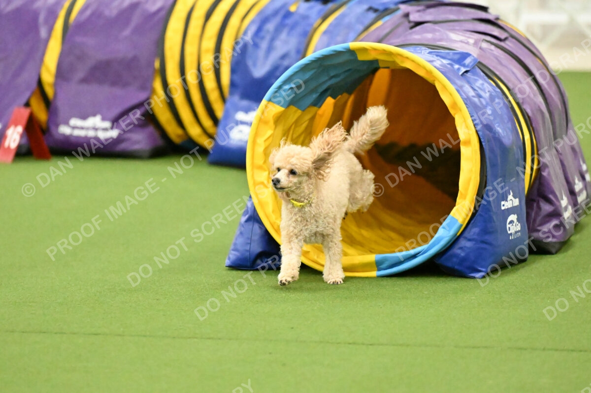 MAS-EX-JWW-12-Inch_1748