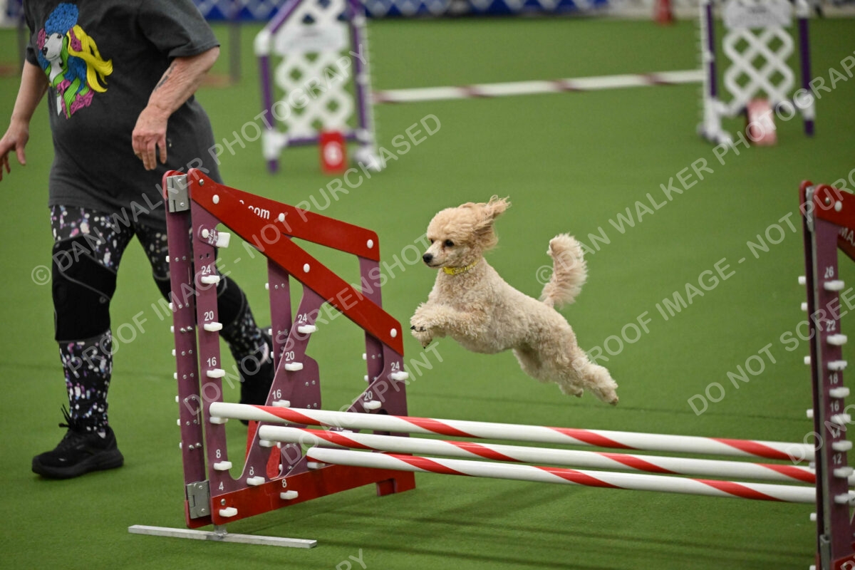 MAS-EX-JWW-12-Inch_1756