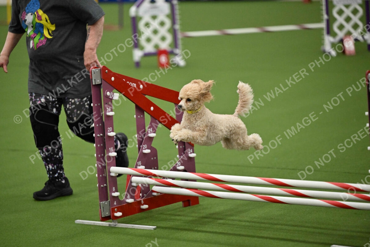 MAS-EX-JWW-12-Inch_1757