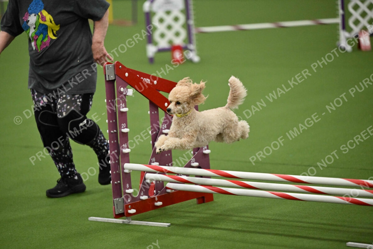 MAS-EX-JWW-12-Inch_1758