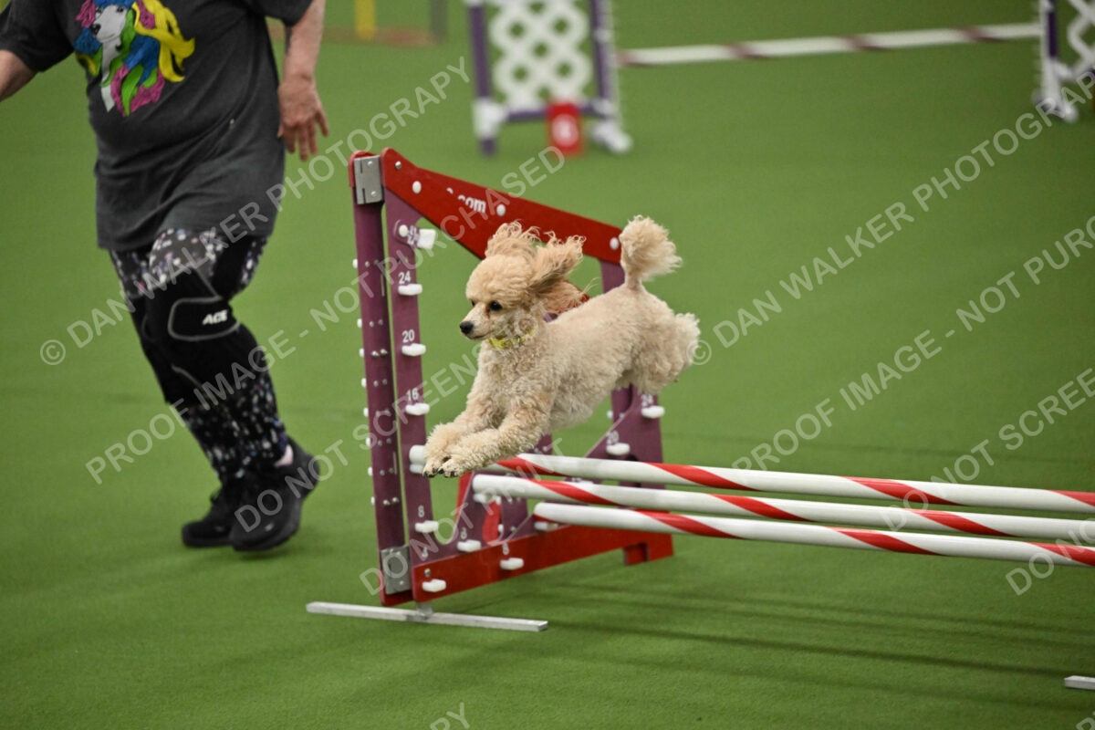 MAS-EX-JWW-12-Inch_1759