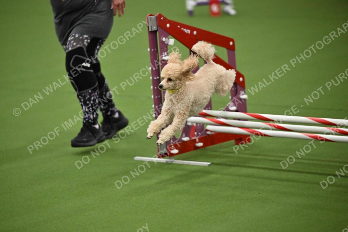 MAS-EX-JWW-12-Inch_1760