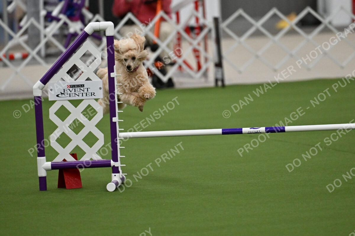 MAS-EX-JWW-12-Inch_1761