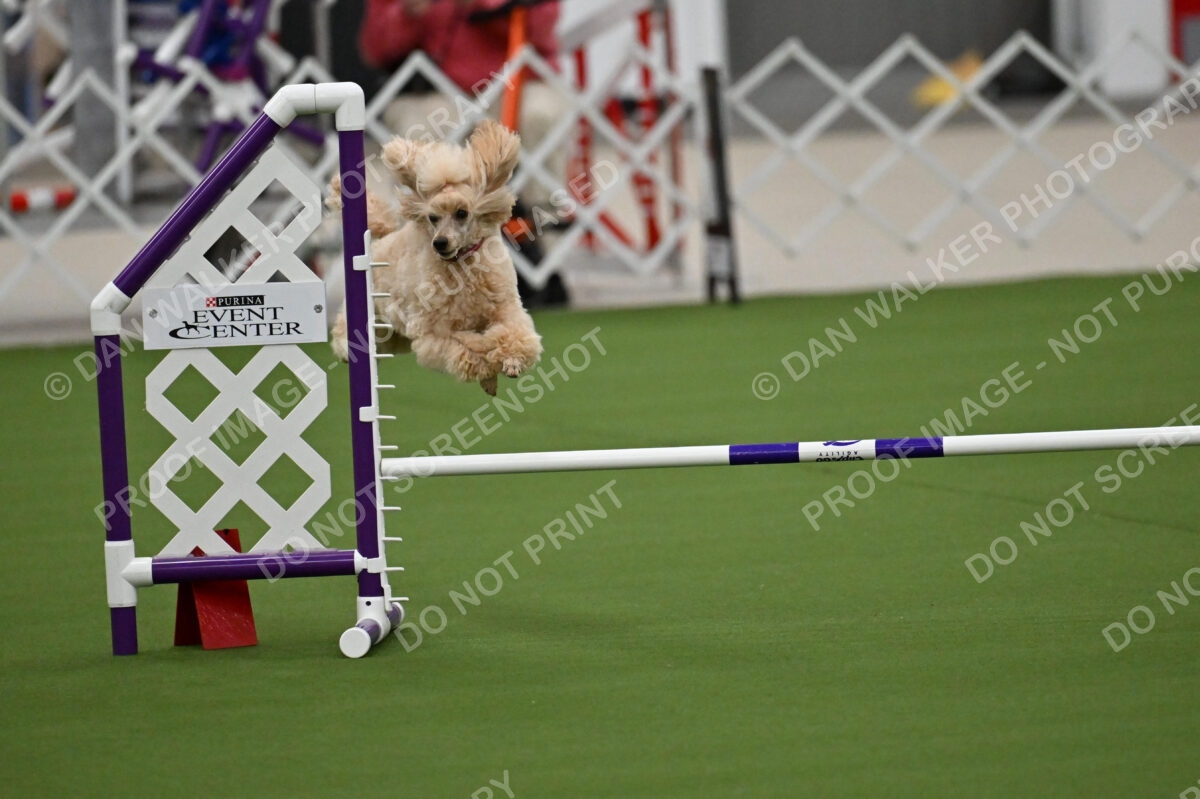 MAS-EX-JWW-12-Inch_1762