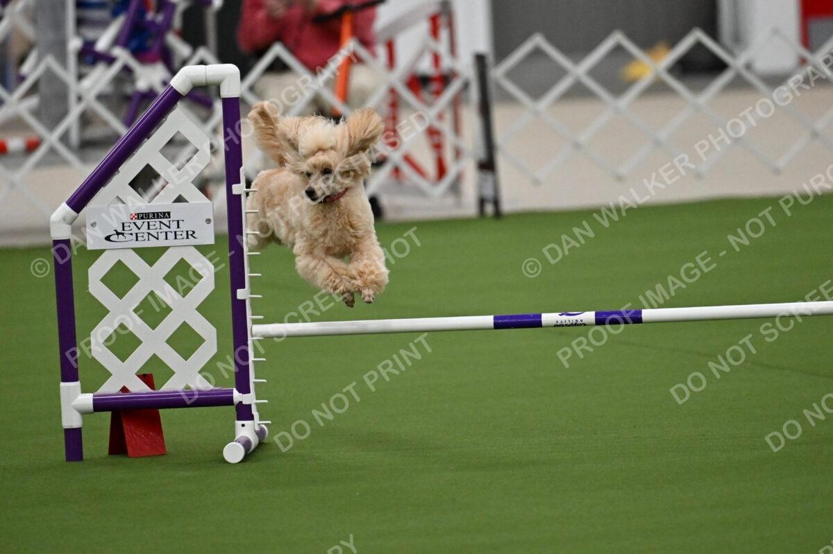 MAS-EX-JWW-12-Inch_1763