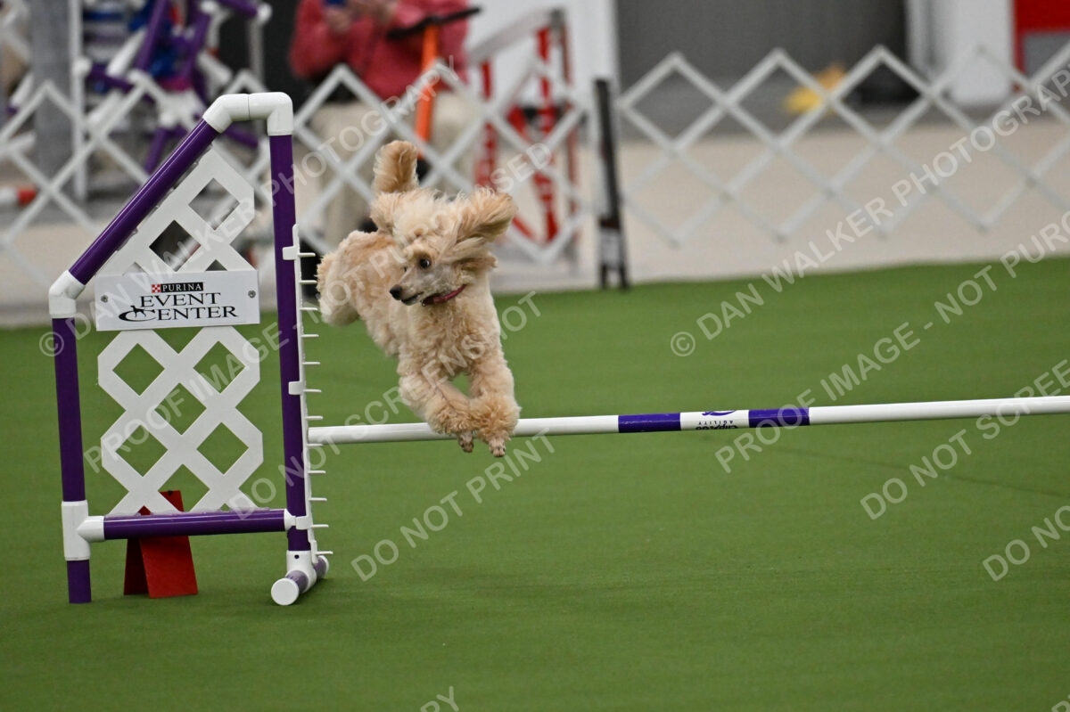 MAS-EX-JWW-12-Inch_1764