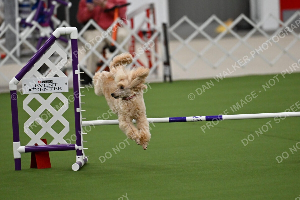 MAS-EX-JWW-12-Inch_1765