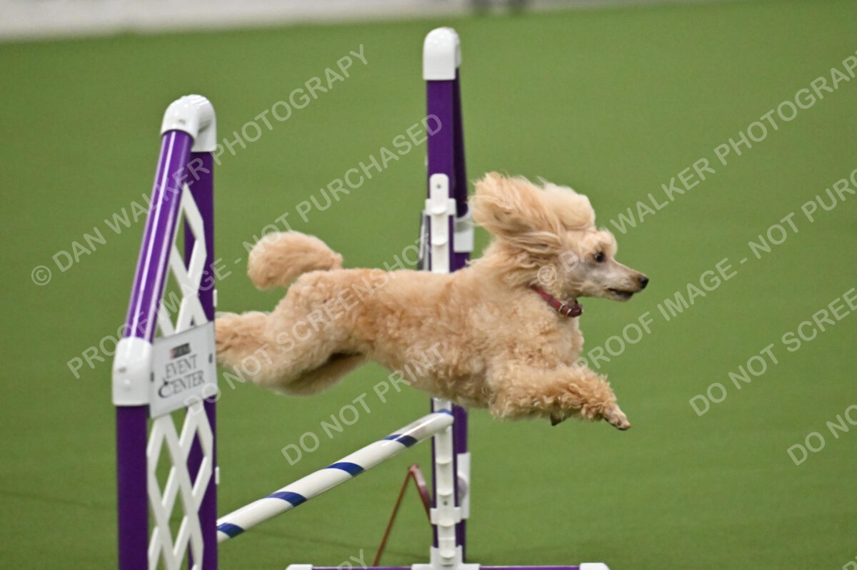 MAS-EX-JWW-12-Inch_1770