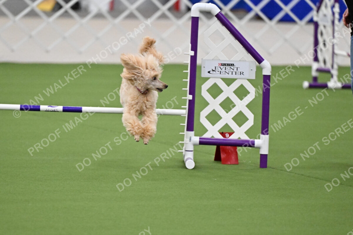 MAS-EX-JWW-12-Inch_1775