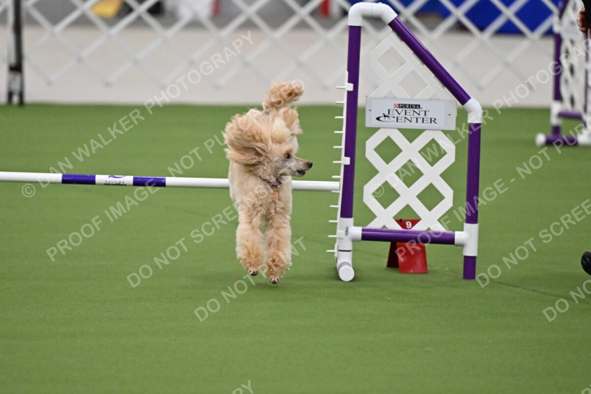 MAS-EX-JWW-12-Inch_1776