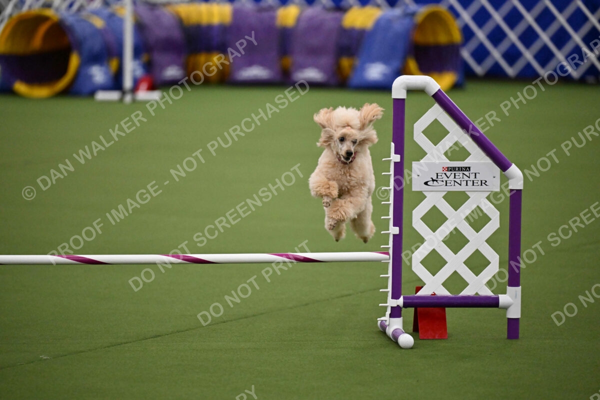 MAS-EX-JWW-12-Inch_1779