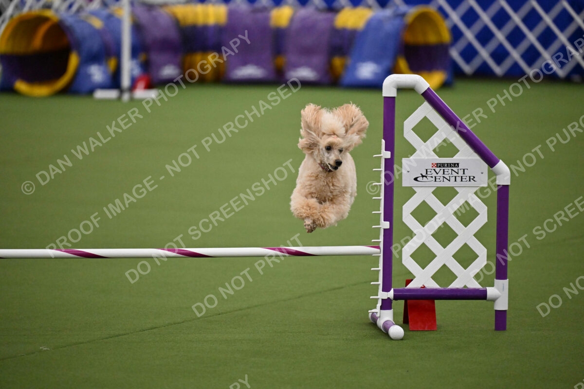 MAS-EX-JWW-12-Inch_1781