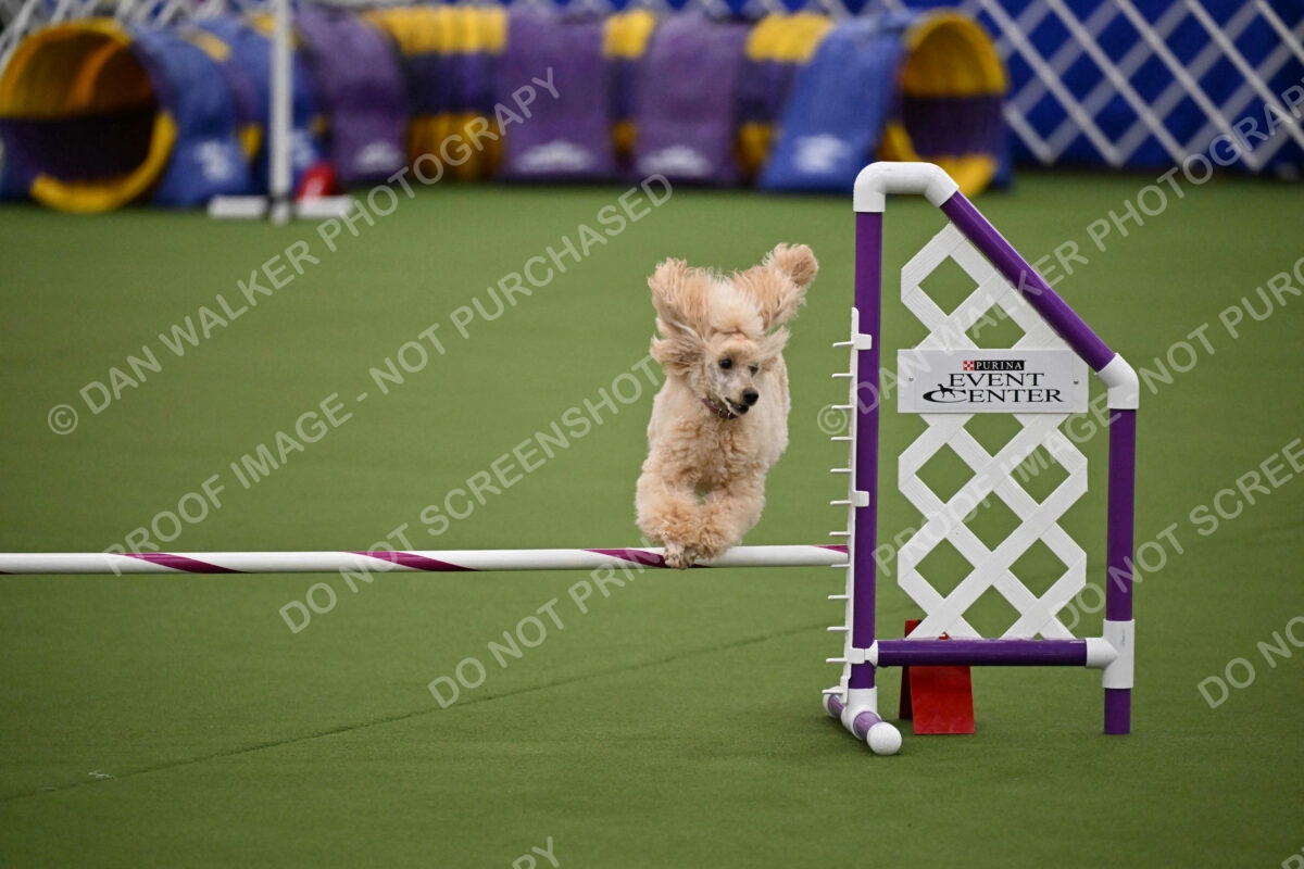 MAS-EX-JWW-12-Inch_1782