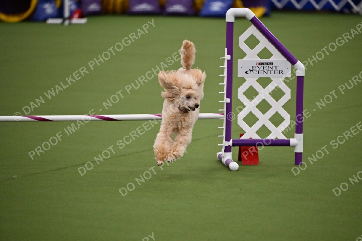 MAS-EX-JWW-12-Inch_1784