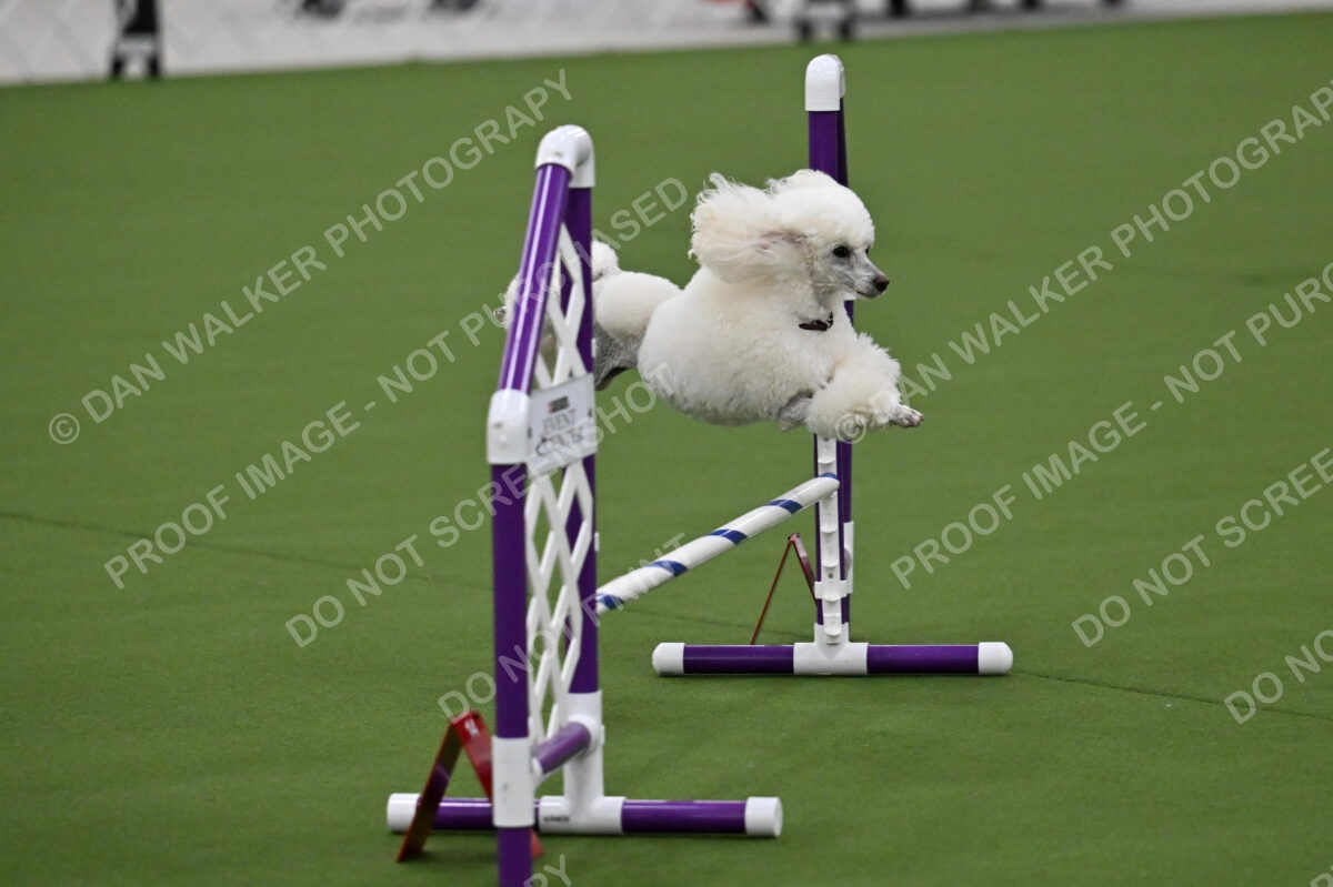 MAS-EX-JWW-12-Inch_1798