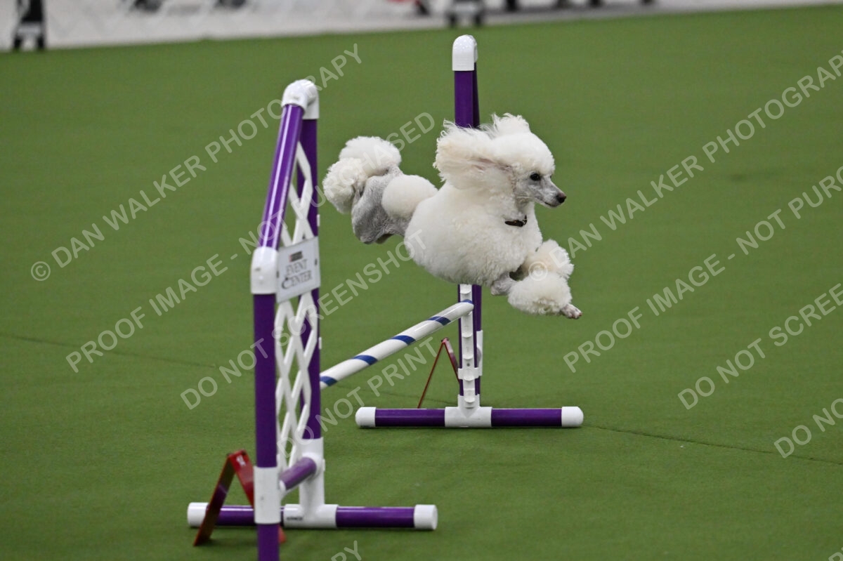 MAS-EX-JWW-12-Inch_1799