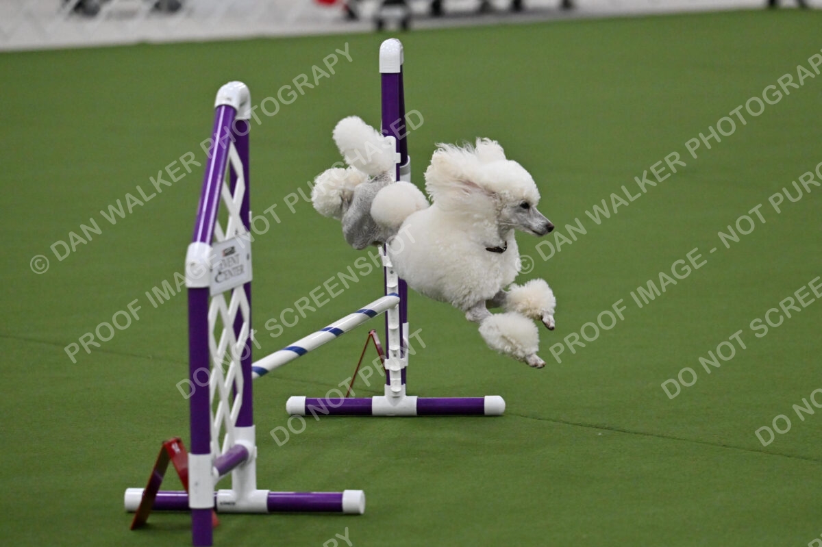 MAS-EX-JWW-12-Inch_1800