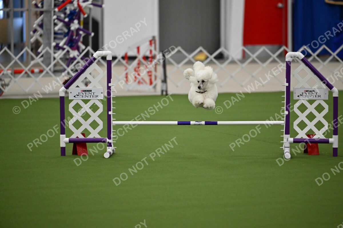 MAS-EX-JWW-12-Inch_1804