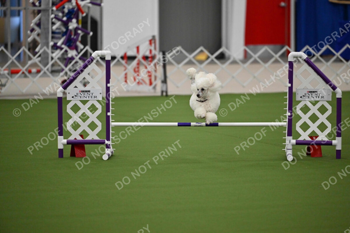 MAS-EX-JWW-12-Inch_1805