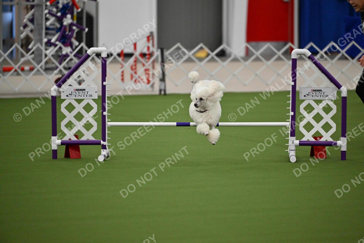 MAS-EX-JWW-12-Inch_1806