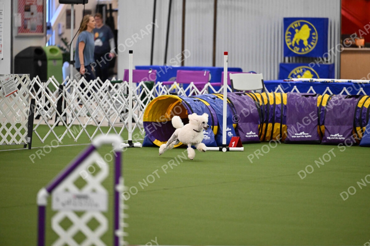 MAS-EX-JWW-12-Inch_1809