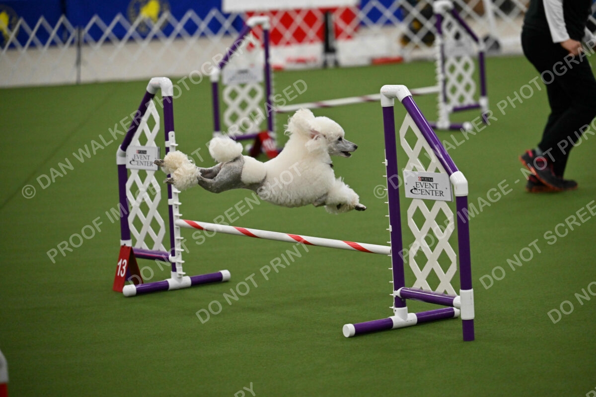 MAS-EX-JWW-12-Inch_1813